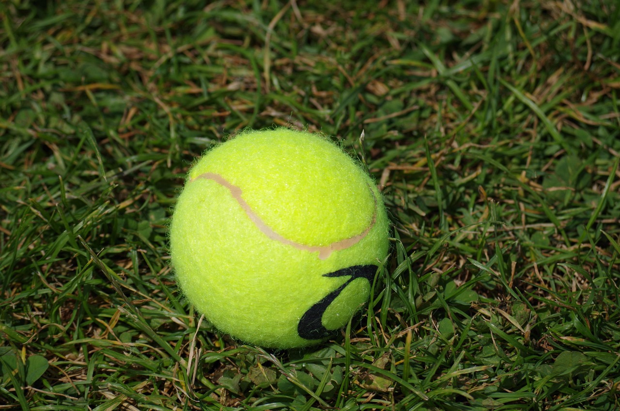tennis ball, he plays, tennis